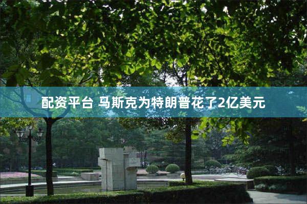 配资平台 马斯克为特朗普花了2亿美元
