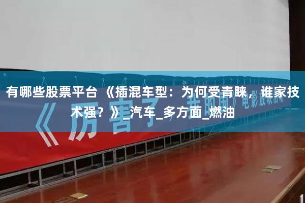 有哪些股票平台 《插混车型：为何受青睐，谁家技术强？》_汽车_多方面_燃油
