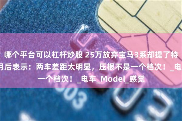 哪个平台可以杠杆炒股 25万放弃宝马3系却提了特斯拉，开了3个月后表示：两车差距太明显，压根不是一个档次！_电车_Model_感觉