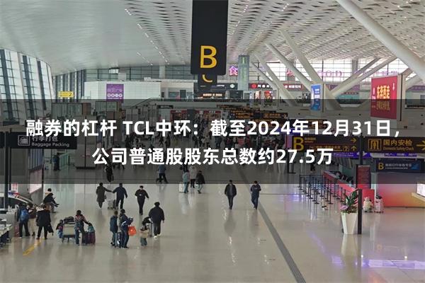 融券的杠杆 TCL中环：截至2024年12月31日，公司普通股股东总数约27.5万