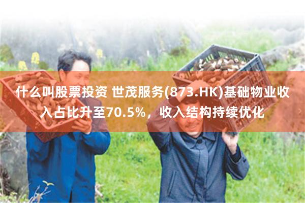 什么叫股票投资 世茂服务(873.HK)基础物业收入占比升至70.5%，收入结构持续优化