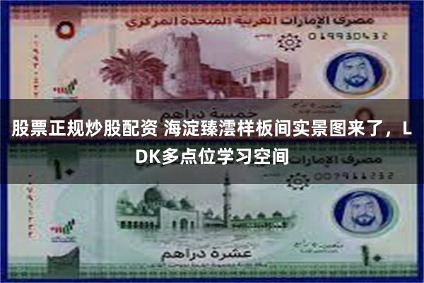 股票正规炒股配资 海淀臻澐样板间实景图来了，LDK多点位学习空间