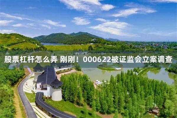 股票杠杆怎么弄 刚刚！000622被证监会立案调查