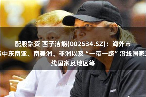 配股融资 西子洁能(002534.SZ)：海外市场主要集中东南亚、南美洲、非洲以及“一带一路”沿线国家及地区等