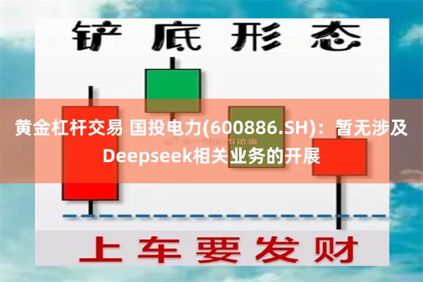 黄金杠杆交易 国投电力(600886.SH)：暂无涉及Deepseek相关业务的开展