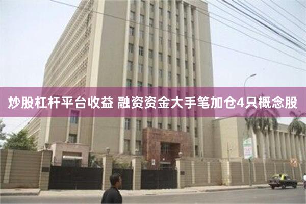 炒股杠杆平台收益 融资资金大手笔加仓4只概念股